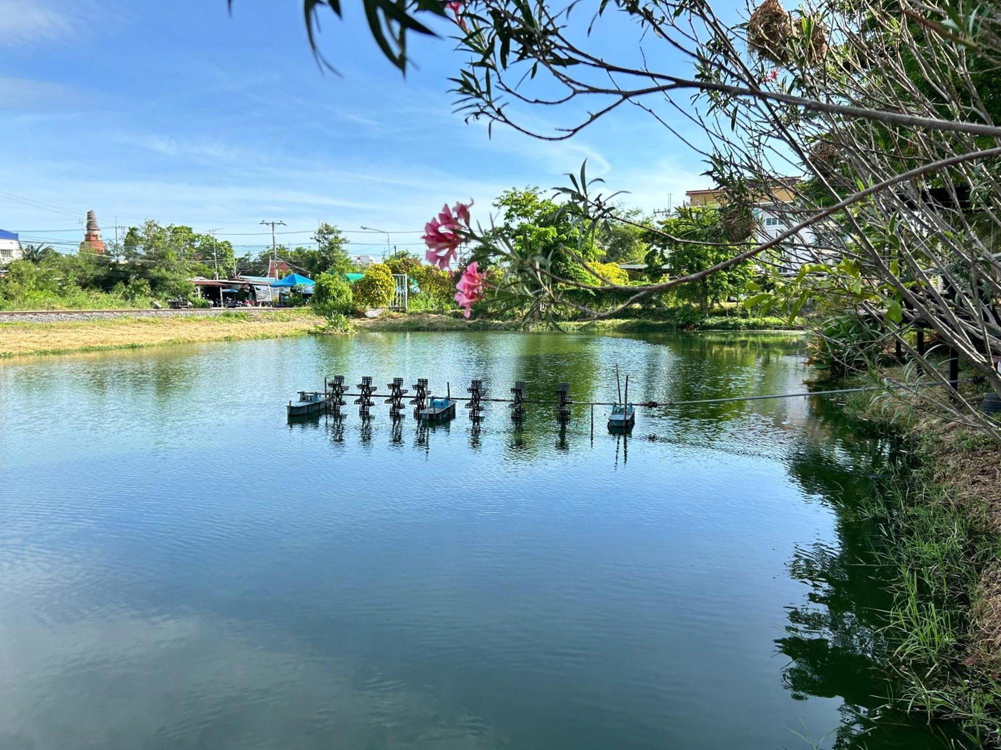 Dd Boutique Resort Ban Wat Pa Kültér fotó